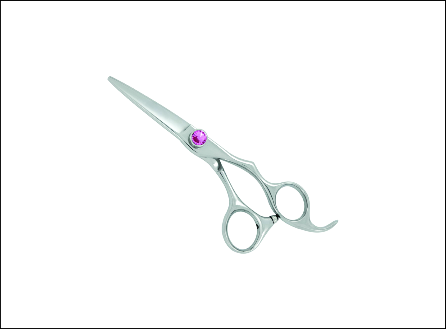 Professional Barber Scissors